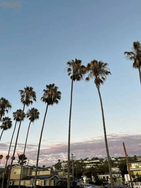 La Jolla Shores at sunset